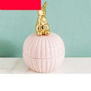 Portable Home Accessories Pack Storage Box